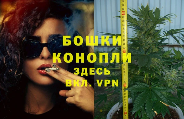 прущие крисы Кодинск