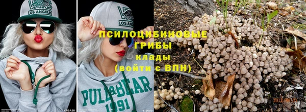 мдма Козельск