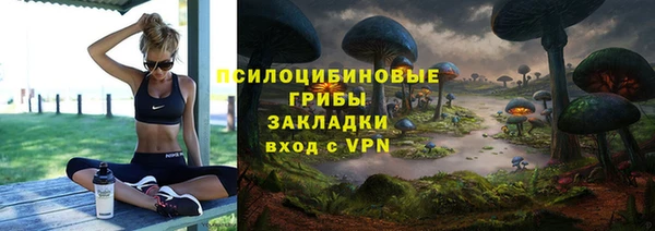 прущие крисы Кодинск