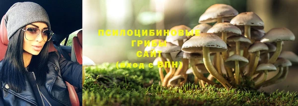 прущие крисы Кодинск