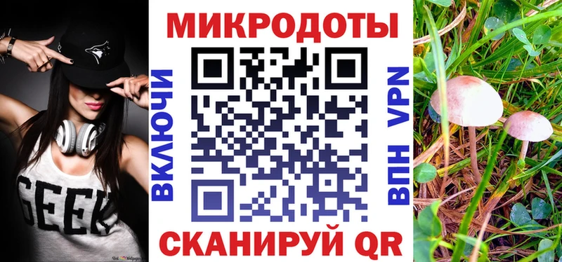 Галлюциногенные грибы Cubensis Гулькевичи
